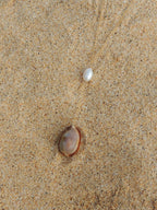 Brown Cowrie Shell Lariat Necklace