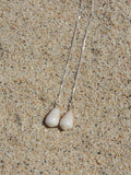 Cone Shell Threaders