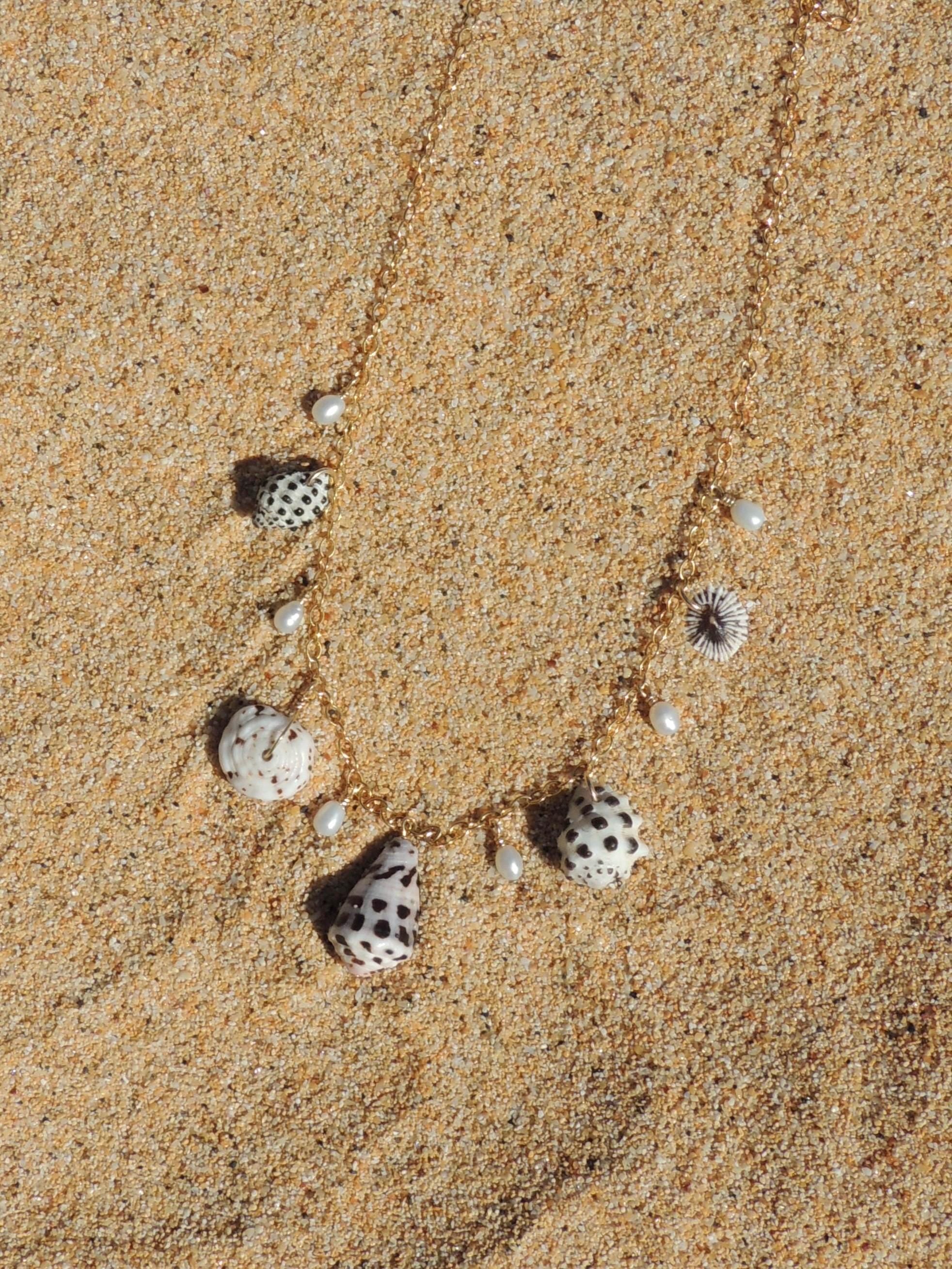 Shell Charm Necklace