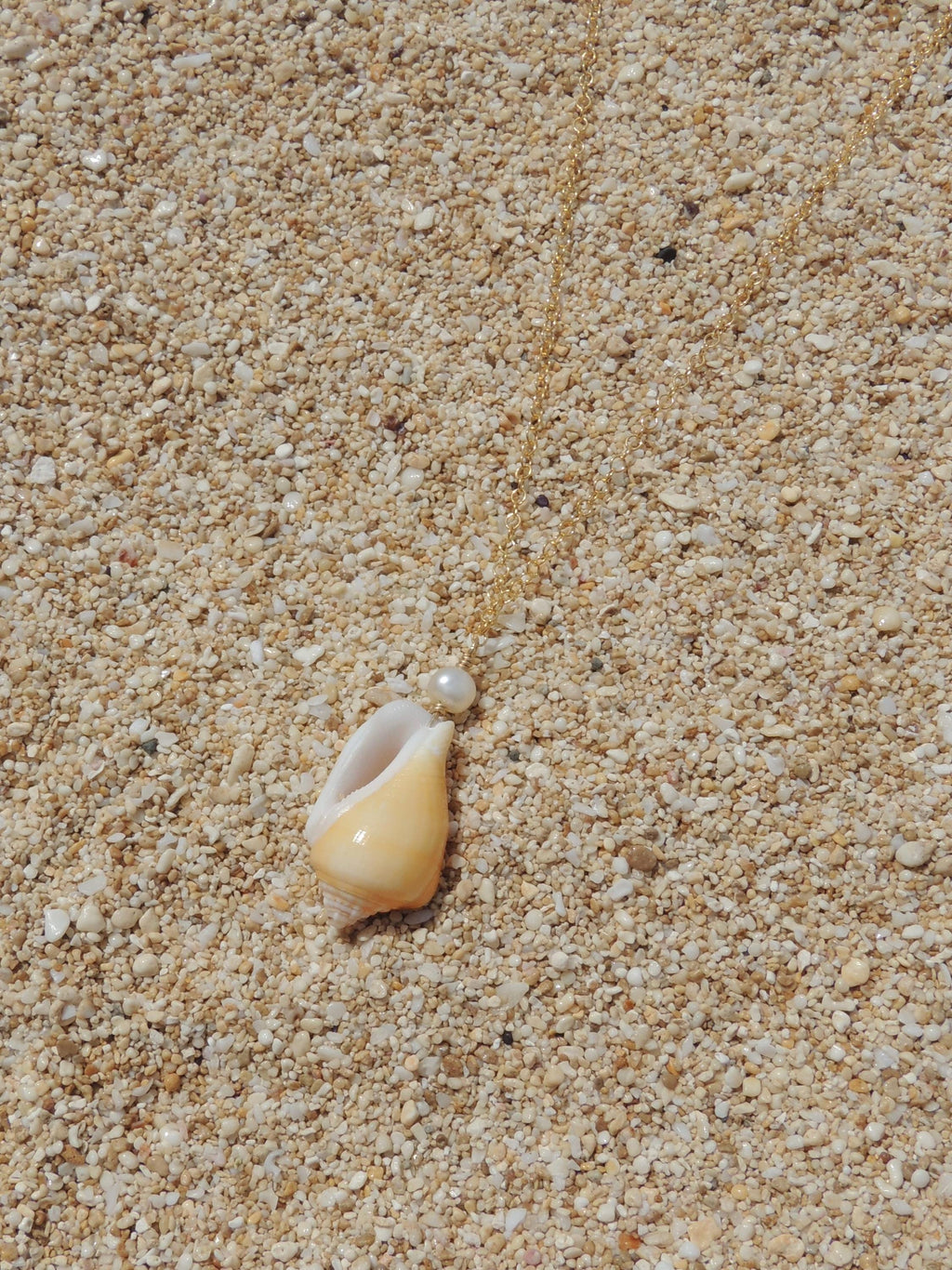 Stromb Shell Necklace