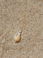 Stromb Shell Necklace