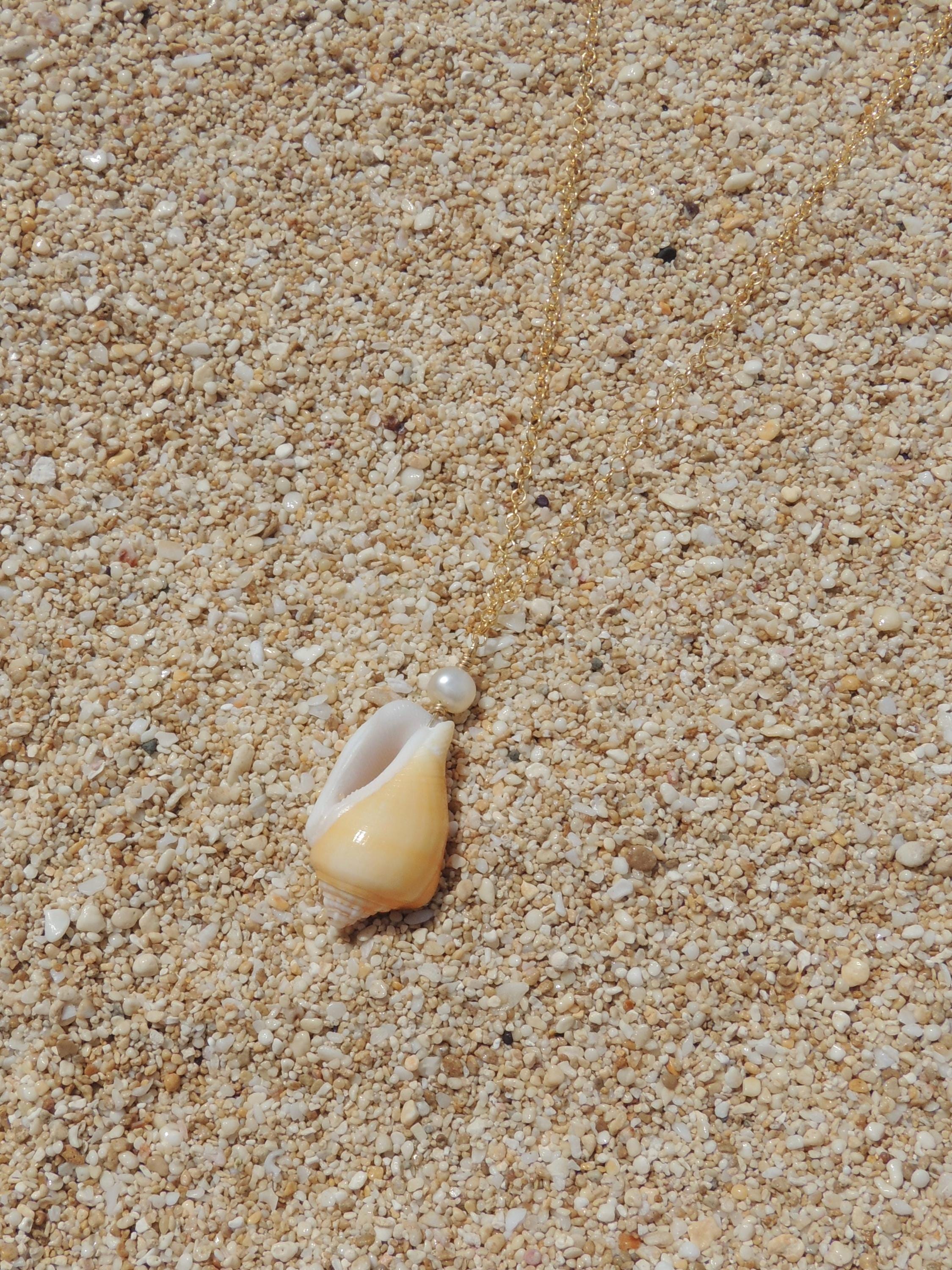 Stromb Shell Necklace
