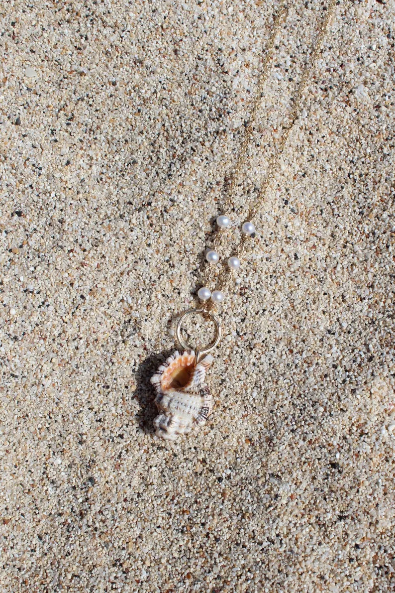 Triton Shell Necklace