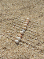 Cone Shell Choker Necklace
